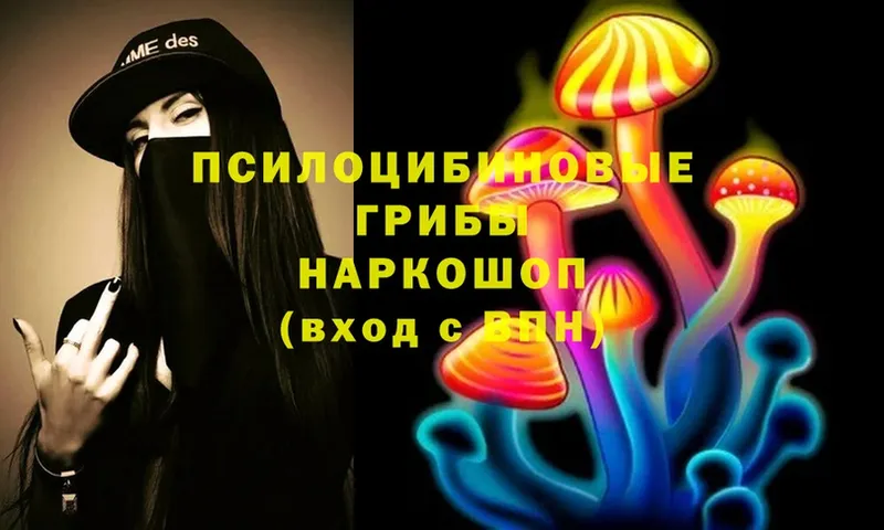 закладки  Бирск  Псилоцибиновые грибы Magic Shrooms 